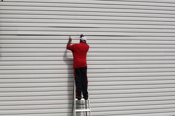 Best Custom Siding Design  in Hodgenville, KY